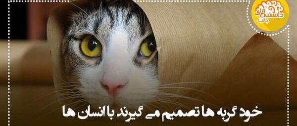 عکس جالب ها