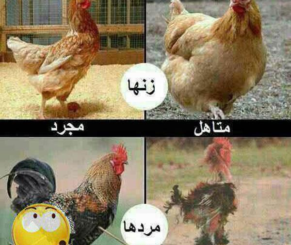 عکس جالب ها