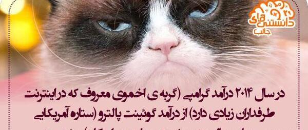 عکس جالب ها