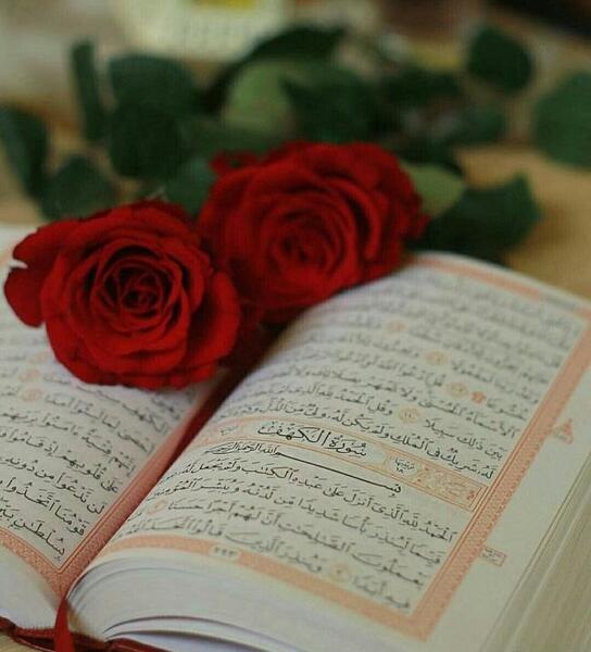 عکس پروف قران
