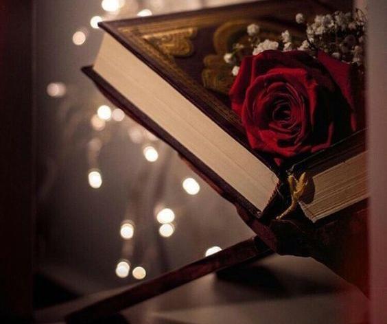 عکس پروف قران
