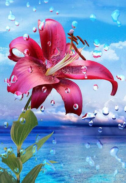عکس زمینه واسه گوشی