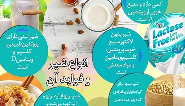 عکس فواید گاو