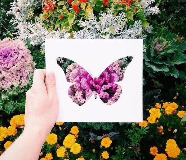 عکس های زیبا از طبیعت نقاشی