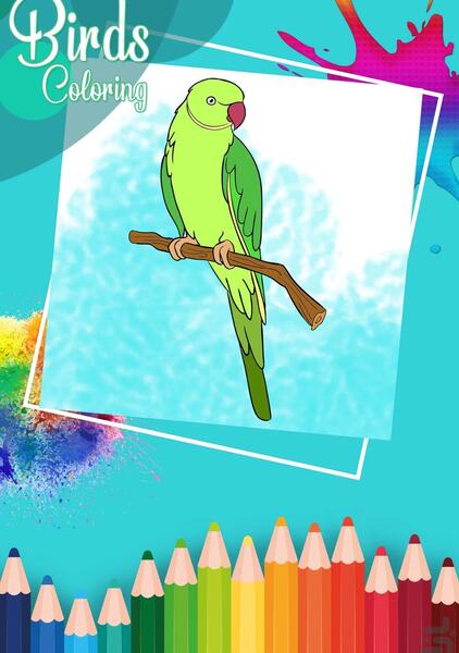 عکس طوطی نقاشی شده