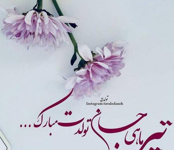 عکس رفیق تیر ماهی
