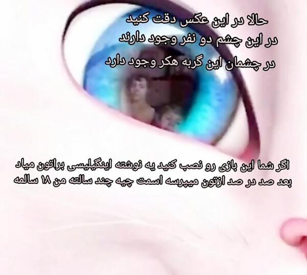 عکس گربه آنجلا هکر