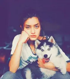 عکس سگ هاسکی فیک