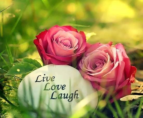 عکس عاشقانه بدون متن گل