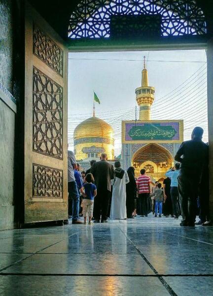 عکس حرم امام رضا با آهو