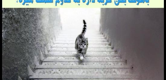 عکس جالب تست هوش