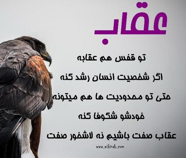 عکس عقاب غمگین