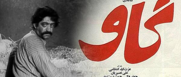 عکس گاو فیلم