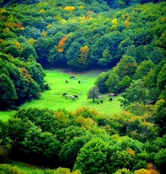 عکس طبیعت کلیبر