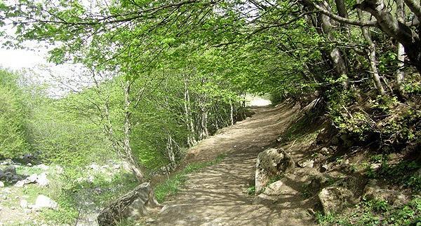 عکس طبیعت کلیبر