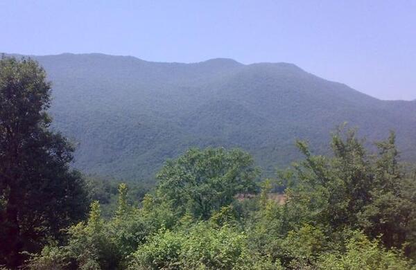 عکس روستای گاوکش علیا