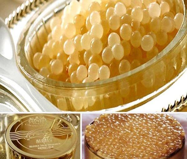 عکس گران ترین غذاهای ایرانی