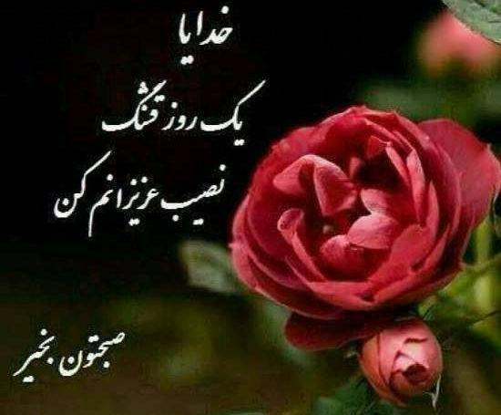 عکس صبح بخیر همگروهی