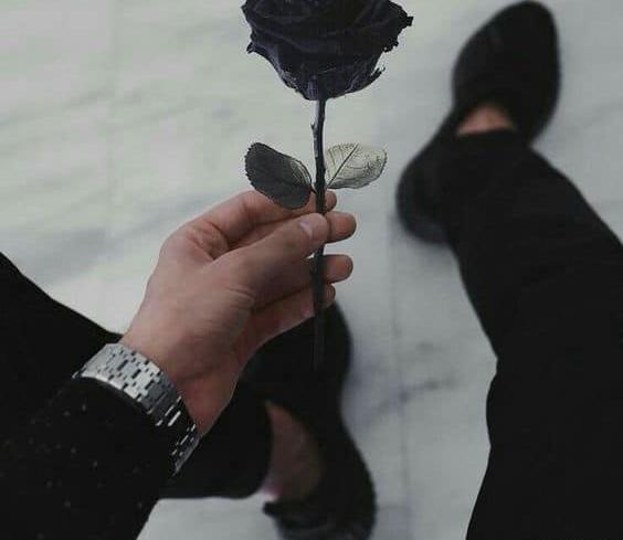 عکس گل رز مشکی طبیعی