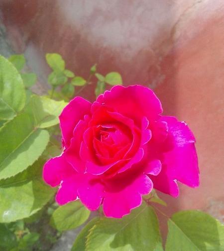 عکس تصویر برای نوشتن