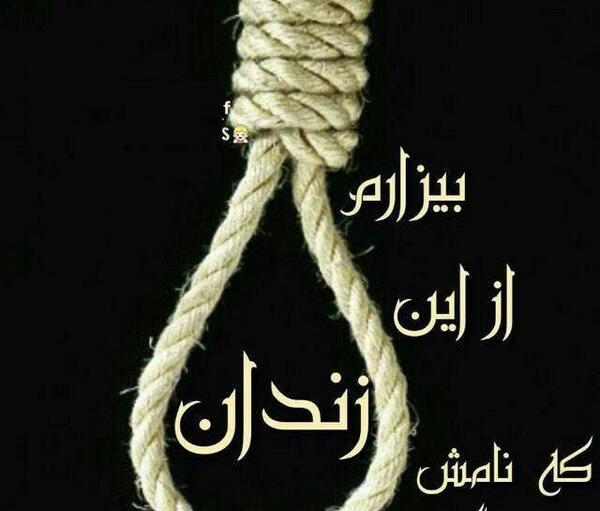بهترین عکس لاتی