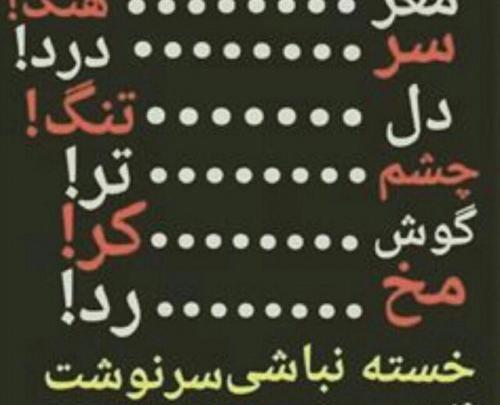 بهترین عکس لاتی