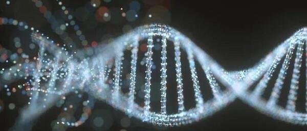 عکس واقعی dna