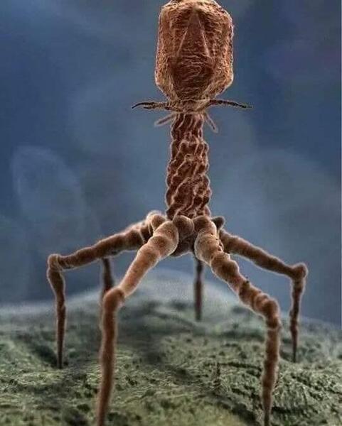 عکس واقعی dna