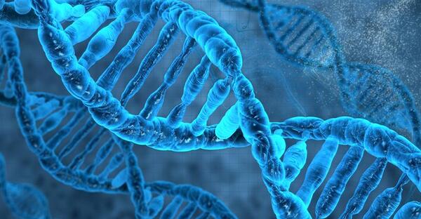 عکس واقعی dna