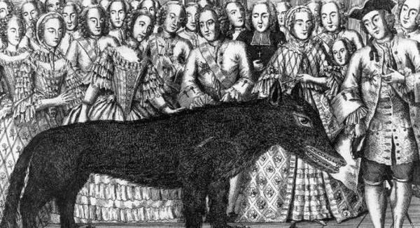 عکس هیولا فرانسه