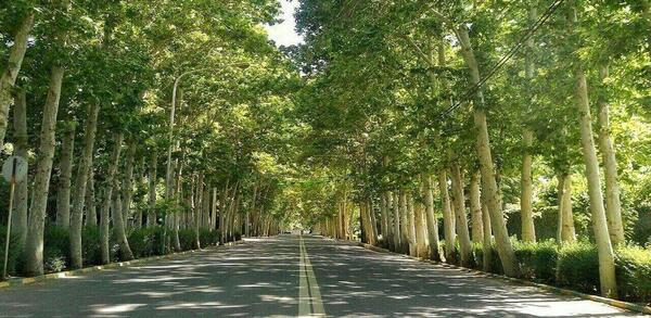 عکس جاهای دیدنی چهارباغ کرج