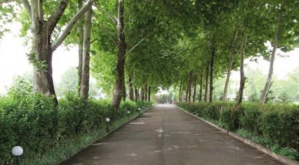 عکس جاهای دیدنی چهارباغ کرج