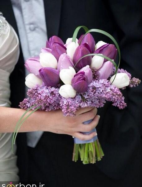 عکس دسته گل لاله رنگی