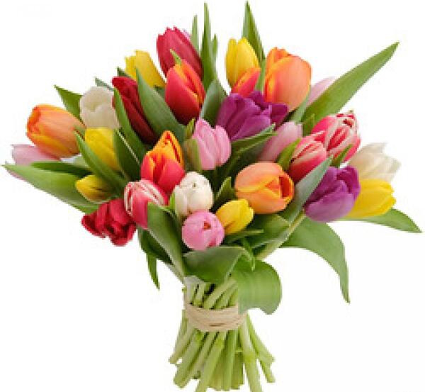 عکس دسته گل لاله رنگی