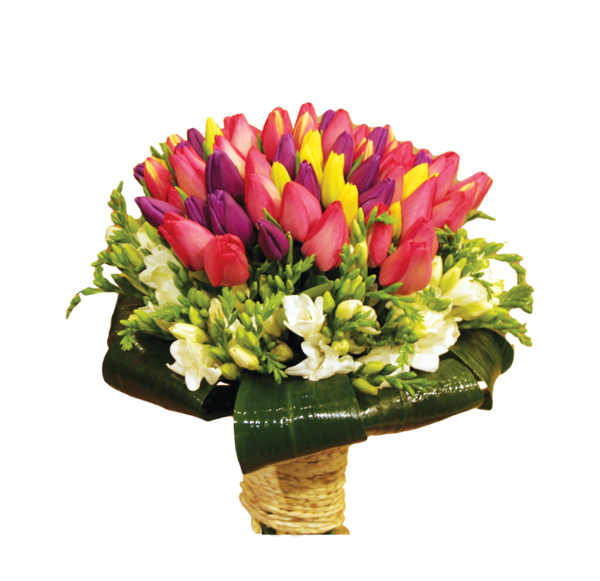 عکس دسته گل لاله رنگی
