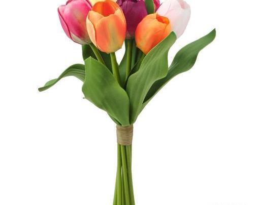 عکس دسته گل لاله رنگی