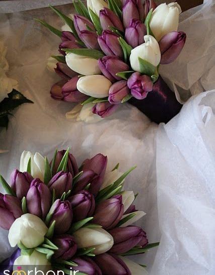 عکس دسته گل لاله رنگی