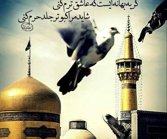 عکس تصویر ضامن آهو