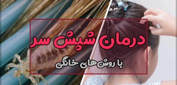 عکس شپش ایرانی