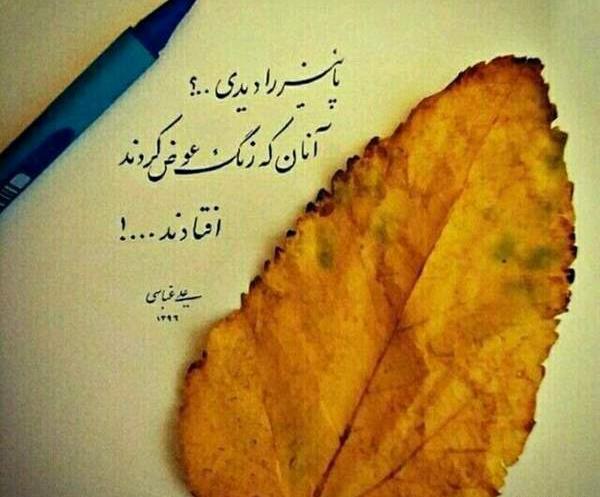 عکس پروفایل تلگرام نی نی سایت