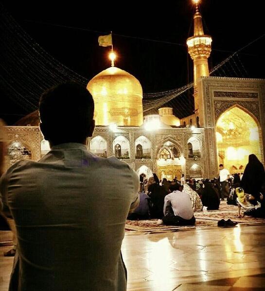 عکس حرم امام رضا و کبوتراش