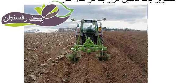 عکس مرزکش