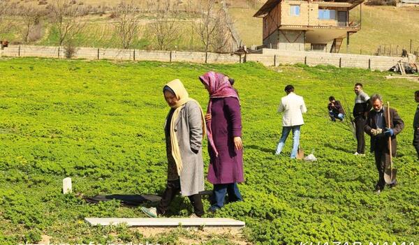 عکس روستای علی آباد مازندران