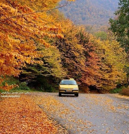 عکس روستای علی آباد مازندران