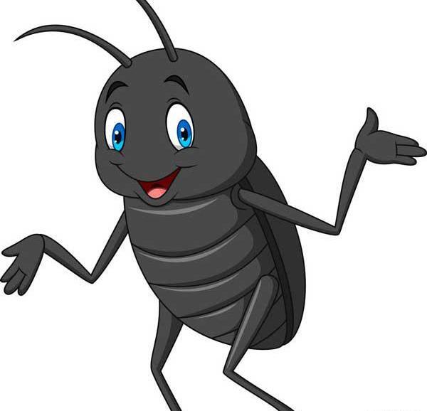 عکس سوسک فانتزی