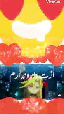 عکس فرفره زک طلوع خورشید
