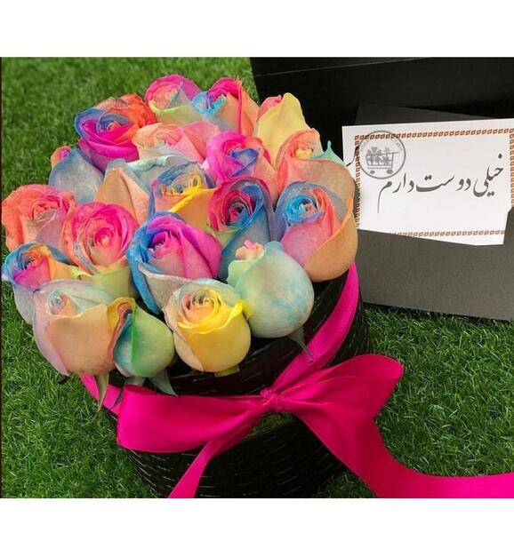 عکس گل رز هفت رنگ برای پروفایل