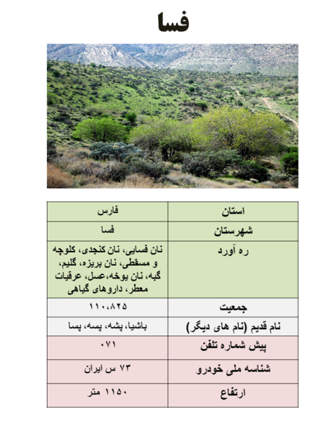 عکس شهر فسا