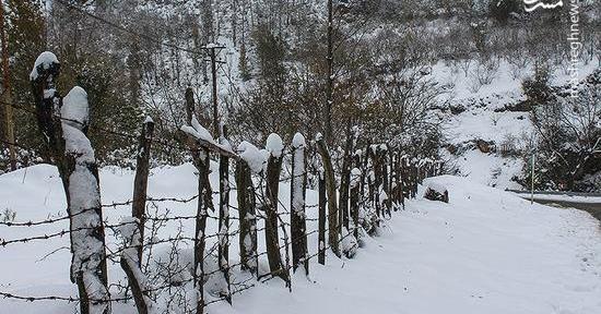 عکس طبیعت زیبای رودسر