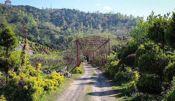 عکس طبیعت زیبای رودسر